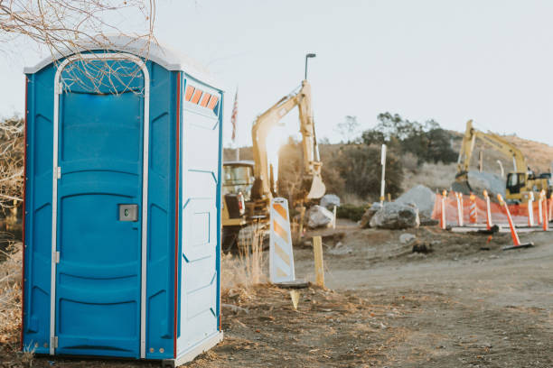 Best Sanitation services for porta potties  in Morenci, MI