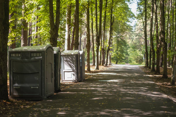 Portable Toilet Options We Offer in Morenci, MI